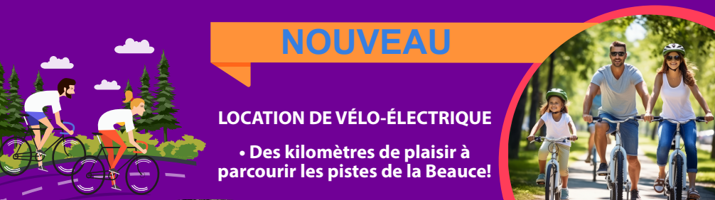 nouveau veloelectrique